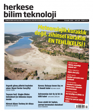 Sayı 247 (18 Aralık 2020)- Dijital (PDF)