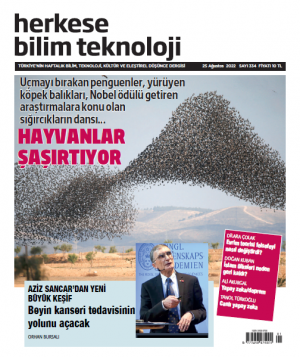 Sayı 334 (25 Ağustos 2022)- Dijital (PDF)