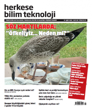 Sayı 337 (15 Eylül 2022)- Dijital (PDF)
