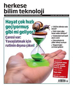 Sayı 455 (10 Ocak 2025) - Dijital (PDF)
