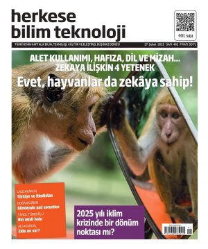 Sayı 462 (28 Şubat 2025) - Dijital (PDF)