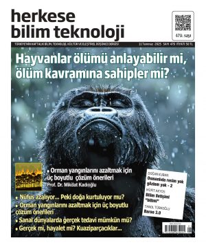 Sayı 479 (11 Temmuz 2025) - Dijital (PDF)