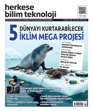 Sayı 482 (1 Ağustos 2025) - Dijital (PDF)