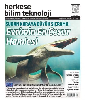 Sayı 515 (3 Nisan 2026) - Dijital (PDF)