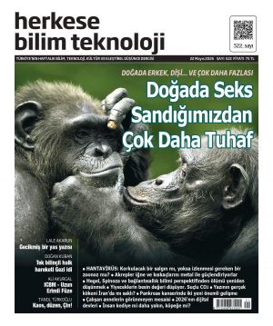 Sayı 522 (22 Mayıs 2026) - Dijital (PDF)