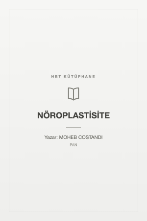 NÖROPLASTİSİTE