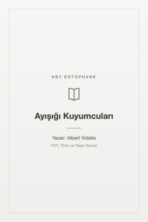 Ayışığı Kuyumcuları