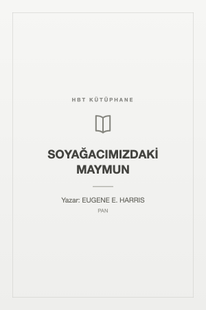 SOYAĞACIMIZDAKİ MAYMUN