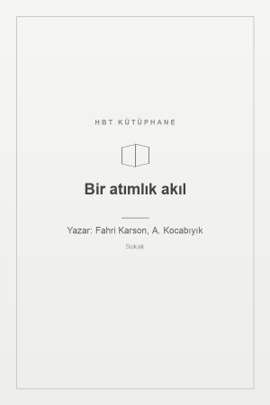 Bir atımlık akıl